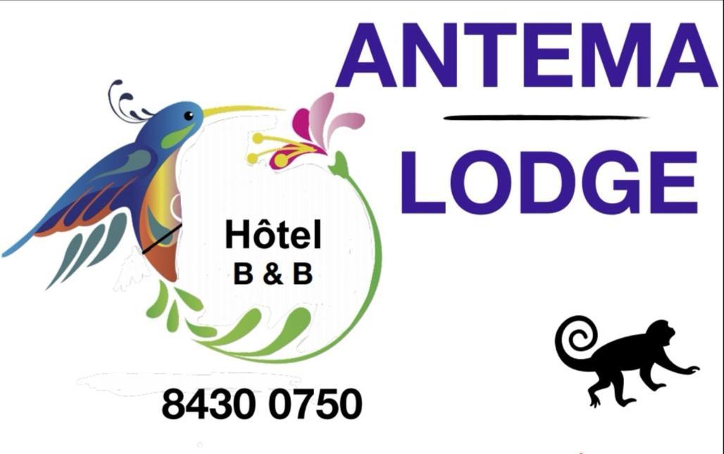 Antema Lodge Secteur Tamarindo, Piscine, Yoga, Gym, Jungle Et Paix Экстерьер фото