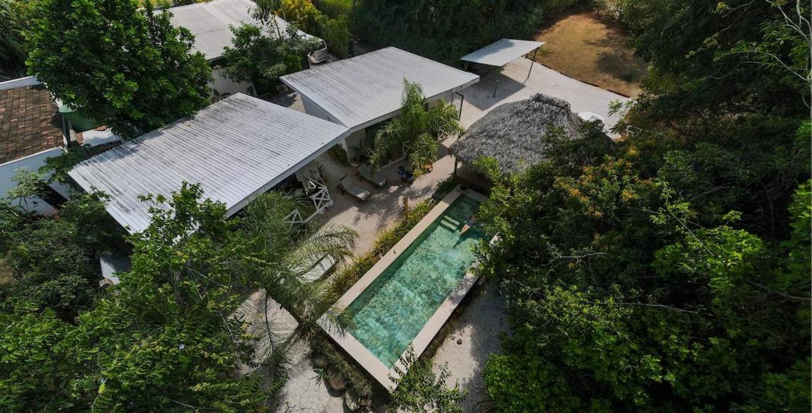 Antema Lodge Secteur Tamarindo, Piscine, Yoga, Gym, Jungle Et Paix Экстерьер фото