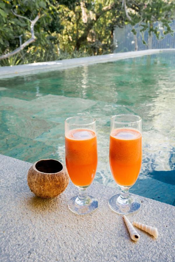 Antema Lodge Secteur Tamarindo, Piscine, Yoga, Gym, Jungle Et Paix Экстерьер фото
