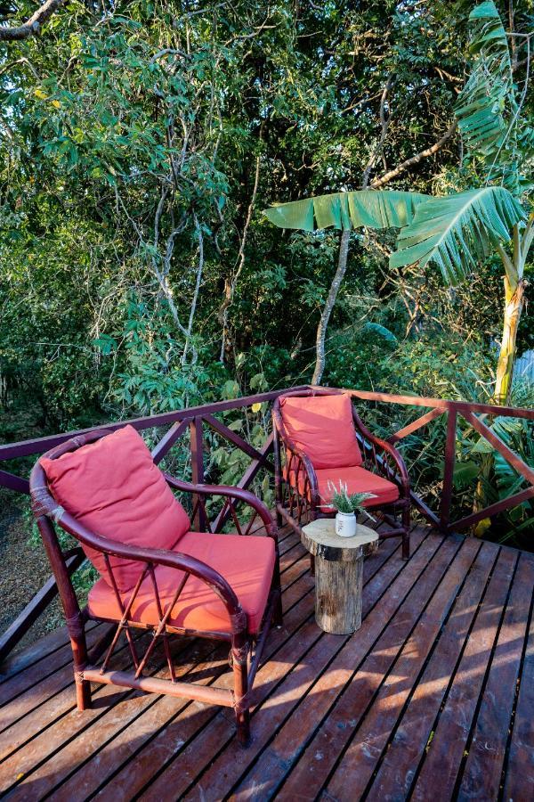 Antema Lodge Secteur Tamarindo, Piscine, Yoga, Gym, Jungle Et Paix Экстерьер фото