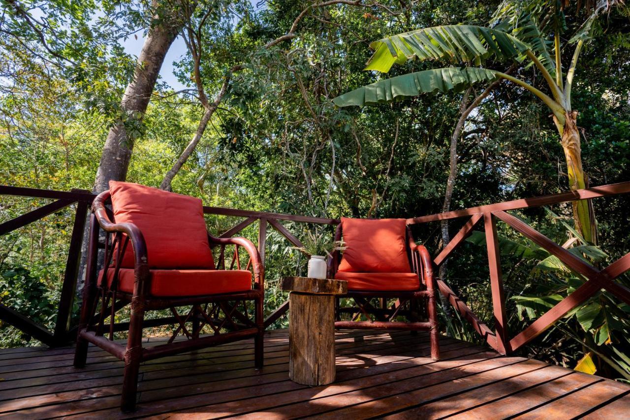 Antema Lodge Secteur Tamarindo, Piscine, Yoga, Gym, Jungle Et Paix Экстерьер фото